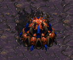 Queen´s nest